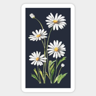 White Daisies Flowers Watercolor Painting Sticker